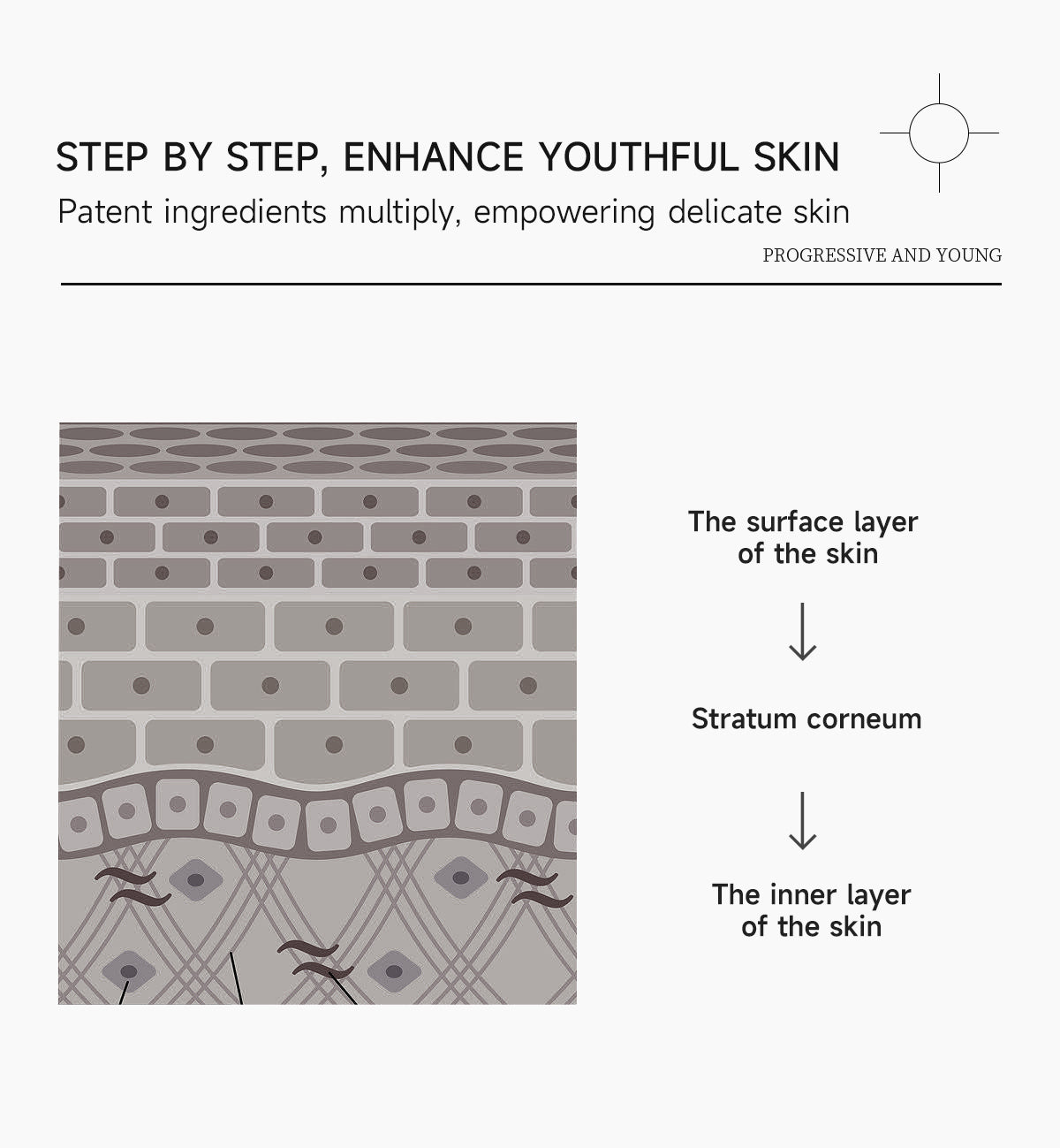 赋能面霜 · Empowering Face Cream