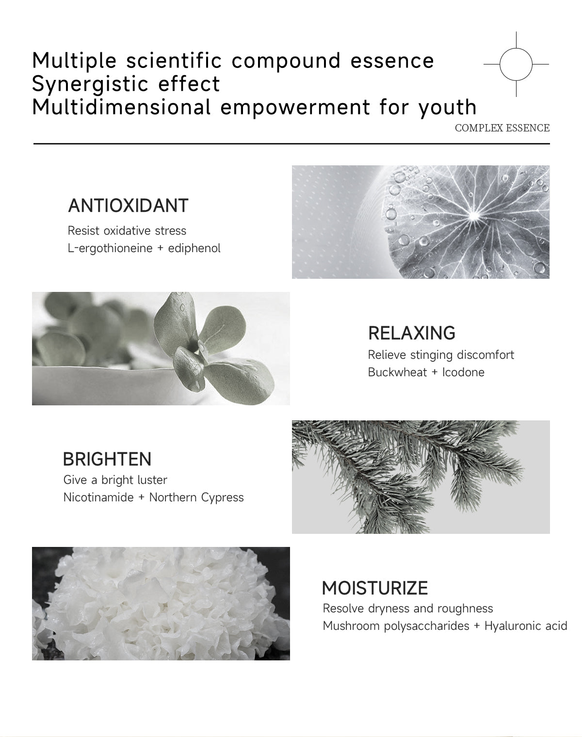 赋能面霜 · Empowering Face Cream