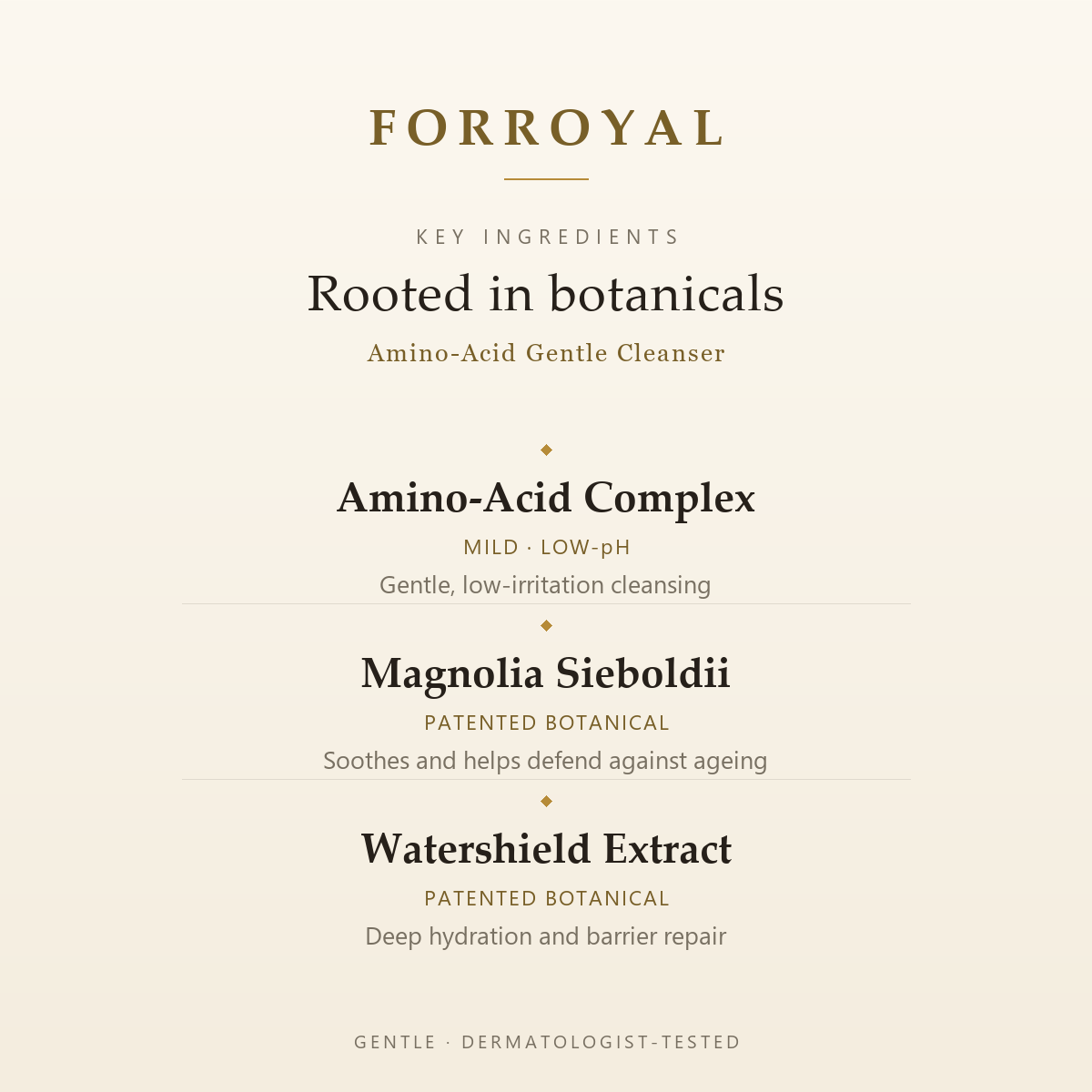 Amino Acid Gentle Cleanser